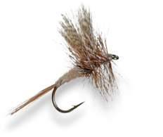 Decorative website photo of another fly-fishing lure