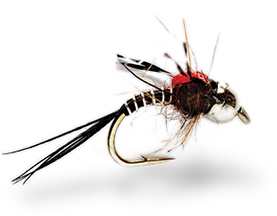 Decorative website photo of a fly-fishing lure
